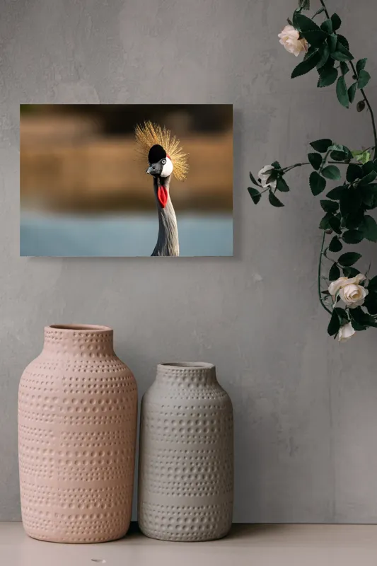 Tablou Canvas, "Elegantul dans al cocorului în soare", Nu pot spune cine este în imagine, dar pot descrie vizual: Pene, Creastă, Roșu, Negru, Pasăre, Elegant, Curios, Fundal Blur., 54 x 39 cm – poza 8