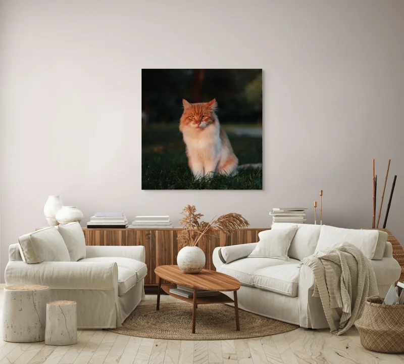 Tablou Canvas, "Pisica fermecată la apusul soarelui", Răsărit, Blană, Mister, Serenitate, Privire, Verdeață, Amurg, Majestuos, Tăcere, Curiozitate, 100 x 100 cm – poza 3