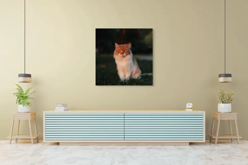 Tablou Canvas, "Pisica fermecată la apusul soarelui", Răsărit, Blană, Mister, Serenitate, Privire, Verdeață, Amurg, Majestuos, Tăcere, Curiozitate, 100 x 100 cm – poza 5