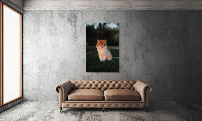 Tablou Canvas, "Pisica fermecată la apusul soarelui", Răsărit, Blană, Mister, Serenitate, Privire, Verdeață, Amurg, Majestuos, Tăcere, Curiozitate, 100 x 150 cm – poza 6