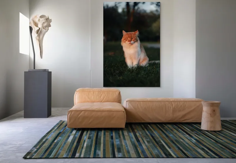 Tablou Canvas, "Pisica fermecată la apusul soarelui", Răsărit, Blană, Mister, Serenitate, Privire, Verdeață, Amurg, Majestuos, Tăcere, Curiozitate, 100 x 150 cm – poza 7