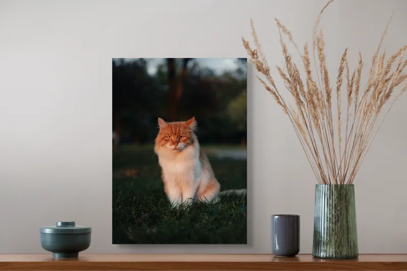 Tablou Canvas, "Pisica fermecată la apusul soarelui", Răsărit, Blană, Mister, Serenitate, Privire, Verdeață, Amurg, Majestuos, Tăcere, Curiozitate, 39 x 54 cm – poza 3