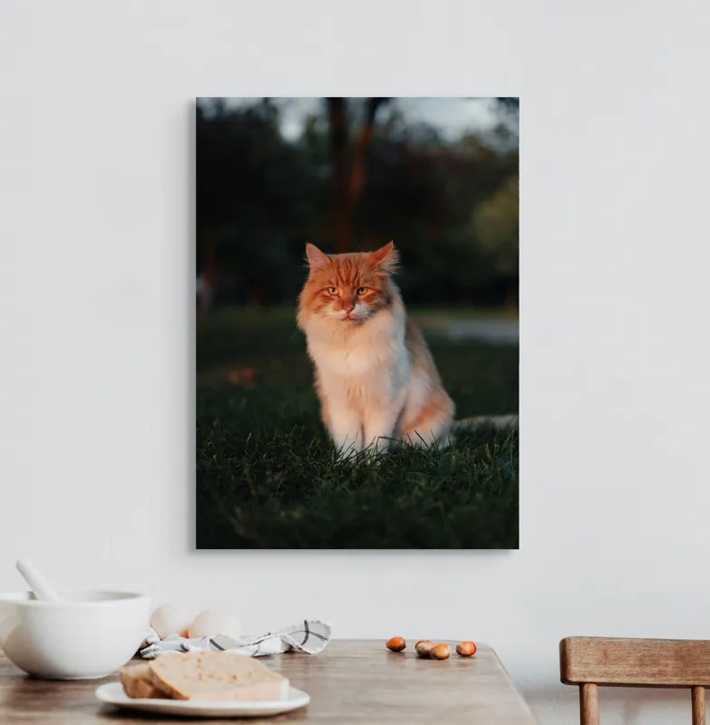Tablou Canvas, "Pisica fermecată la apusul soarelui", Răsărit, Blană, Mister, Serenitate, Privire, Verdeață, Amurg, Majestuos, Tăcere, Curiozitate, 50 x 70 cm – poza 3