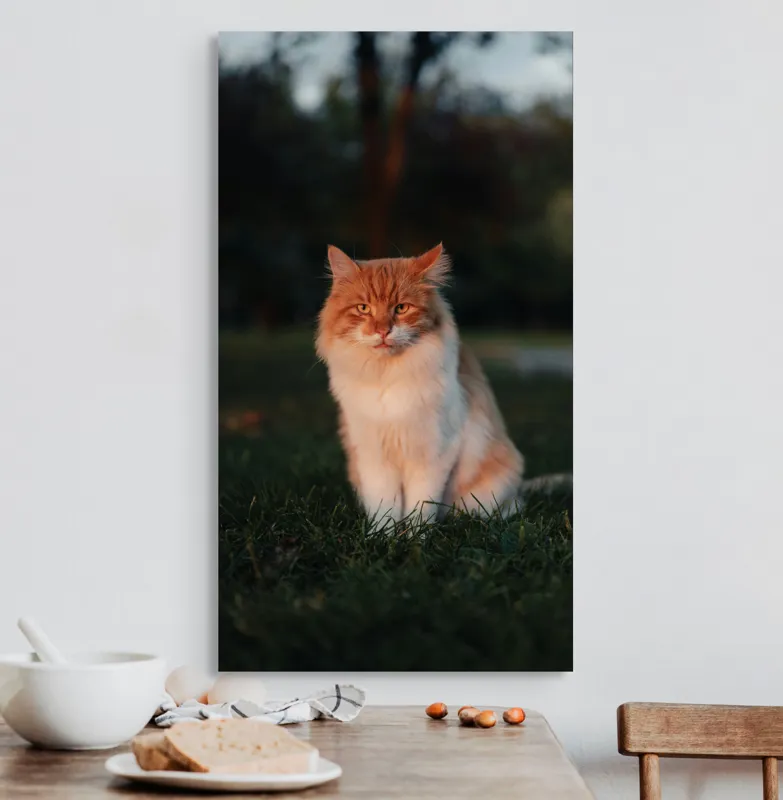 Tablou Canvas, "Pisica fermecată la apusul soarelui", Răsărit, Blană, Mister, Serenitate, Privire, Verdeață, Amurg, Majestuos, Tăcere, Curiozitate, 50 x 90 cm – poza 3
