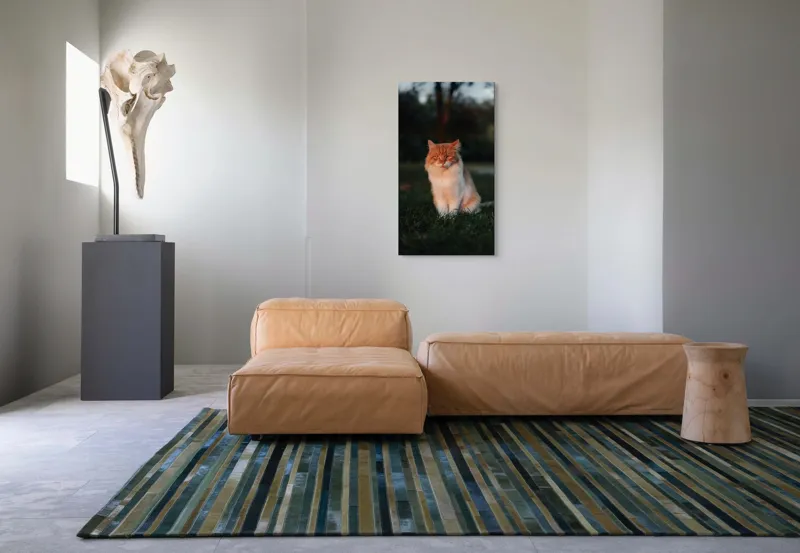 Tablou Canvas, "Pisica fermecată la apusul soarelui", Răsărit, Blană, Mister, Serenitate, Privire, Verdeață, Amurg, Majestuos, Tăcere, Curiozitate, 50 x 90 cm – poza 5