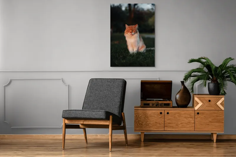 Tablou Canvas, "Pisica fermecată la apusul soarelui", Răsărit, Blană, Mister, Serenitate, Privire, Verdeață, Amurg, Majestuos, Tăcere, Curiozitate, 70 x 100 cm – poza 6