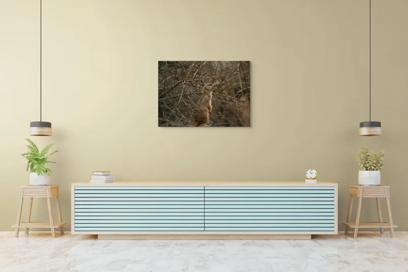 Tablou Canvas, "Suricata supraveghind tărâmul uscatomorfic", Meerkat, Observant, Alert, Thorny, Subdued, Brown, Branches, 100 x 70 cm – poza 4