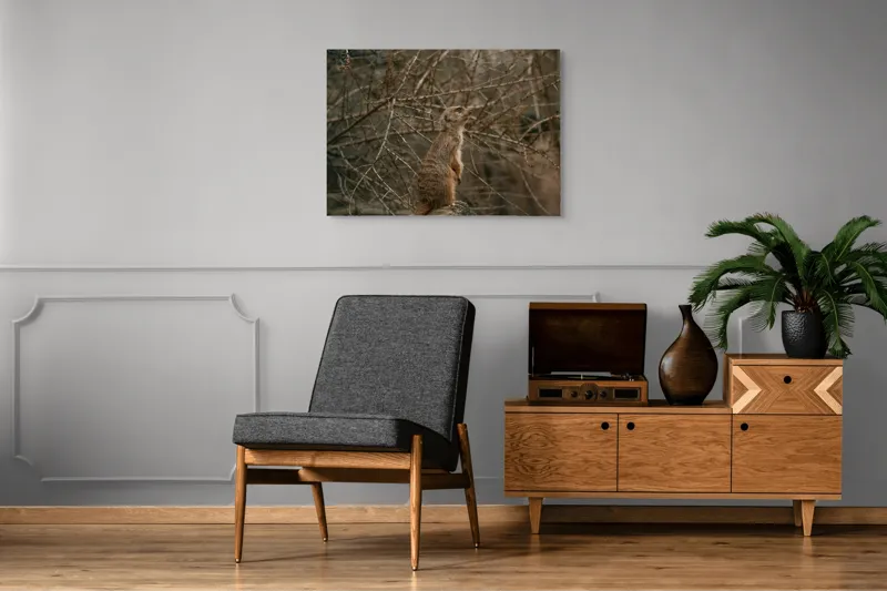 Tablou Canvas, "Suricata supraveghind tărâmul uscatomorfic", Meerkat, Observant, Alert, Thorny, Subdued, Brown, Branches, 100 x 70 cm – poza 8