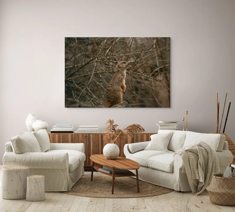 Tablou Canvas, "Suricata supraveghind tărâmul uscatomorfic", Meerkat, Observant, Alert, Thorny, Subdued, Brown, Branches, 150 x 100 cm – poza 3