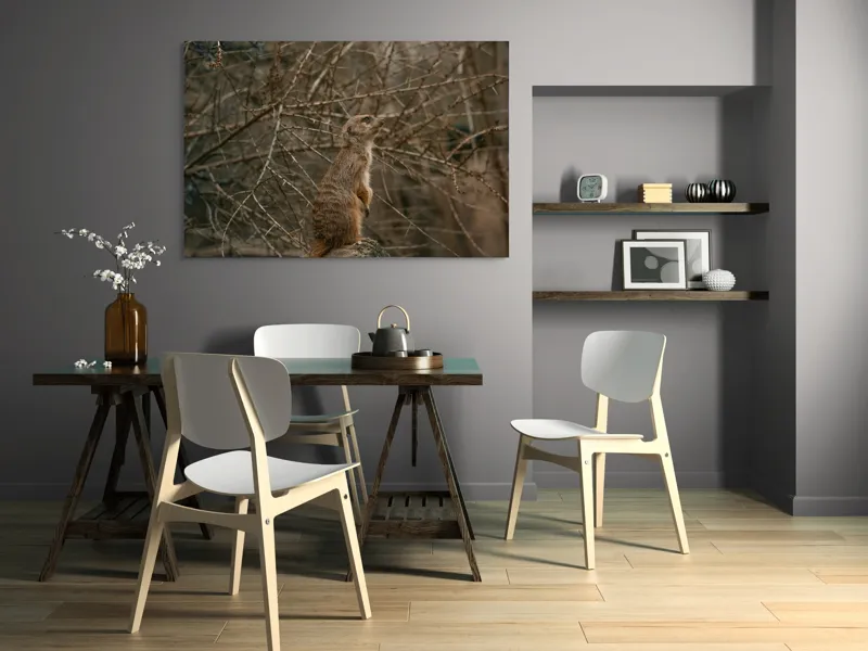 Tablou Canvas, "Suricata supraveghind tărâmul uscatomorfic", Meerkat, Observant, Alert, Thorny, Subdued, Brown, Branches, 150 x 100 cm – poza 5