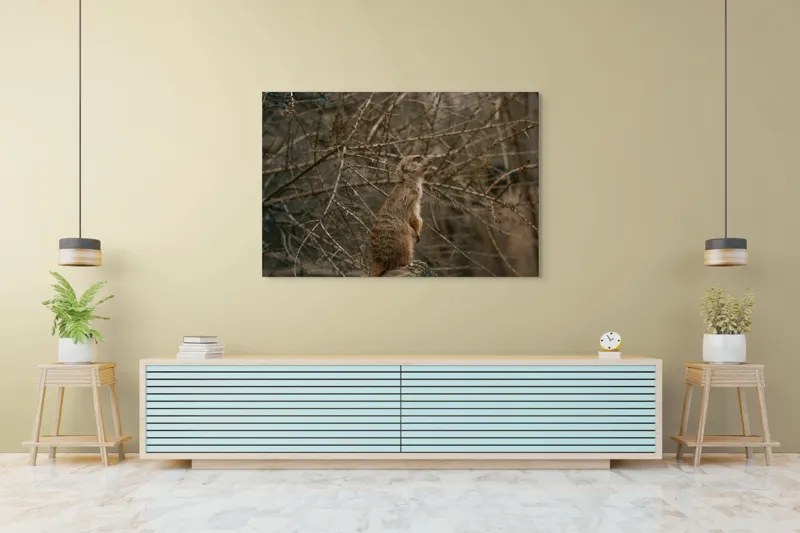 Tablou Canvas, "Suricata supraveghind tărâmul uscatomorfic", Meerkat, Observant, Alert, Thorny, Subdued, Brown, Branches, 150 x 100 cm – poza 6