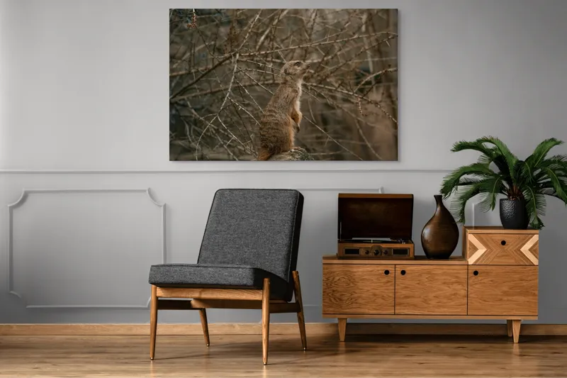Tablou Canvas, "Suricata supraveghind tărâmul uscatomorfic", Meerkat, Observant, Alert, Thorny, Subdued, Brown, Branches, 150 x 100 cm – poza 8