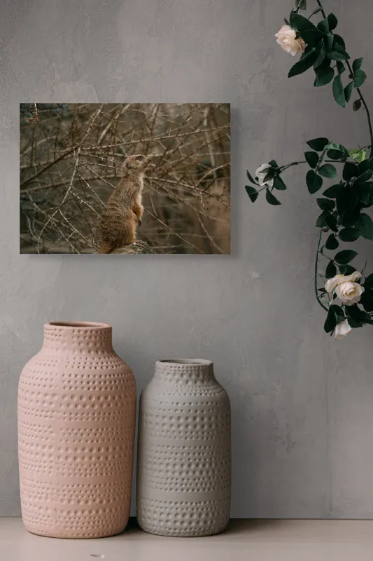 Tablou Canvas, "Suricata supraveghind tărâmul uscatomorfic", Meerkat, Observant, Alert, Thorny, Subdued, Brown, Branches, 54 x 39 cm – poza 8