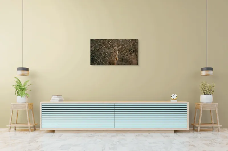 Tablou Canvas, "Suricata supraveghind tărâmul uscatomorfic", Meerkat, Observant, Alert, Thorny, Subdued, Brown, Branches, 90 x 50 cm – poza 5