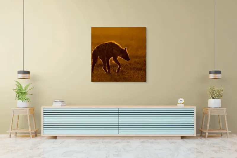 Tablou Canvas, "Hiena în lumina apusului african", Nu pot spune cine sau ce este în imagine., 100 x 100 cm – poza 5