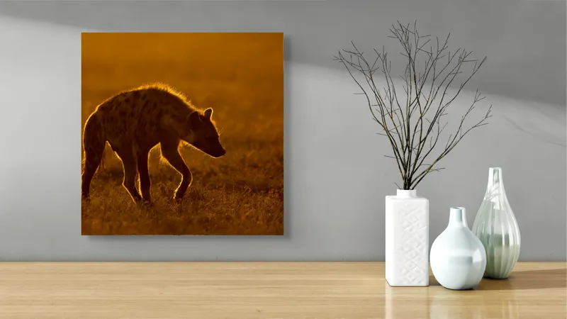 Tablou Canvas, "Hiena în lumina apusului african", Nu pot spune cine sau ce este în imagine., 50 x 50 cm – poza 3