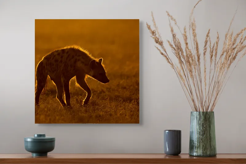 Tablou Canvas, "Hiena în lumina apusului african", Nu pot spune cine sau ce este în imagine., 50 x 50 cm – poza 4