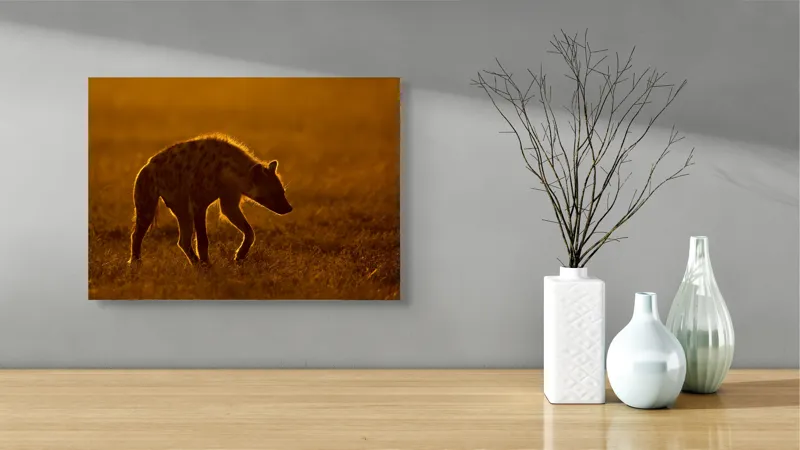 Tablou Canvas, "Hiena în lumina apusului african", Nu pot spune cine sau ce este în imagine., 54 x 39 cm – poza 3