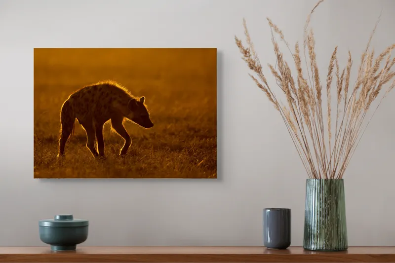 Tablou Canvas, "Hiena în lumina apusului african", Nu pot spune cine sau ce este în imagine., 54 x 39 cm – poza 4
