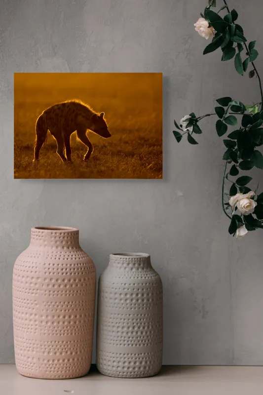 Tablou Canvas, "Hiena în lumina apusului african", Nu pot spune cine sau ce este în imagine., 54 x 39 cm – poza 8