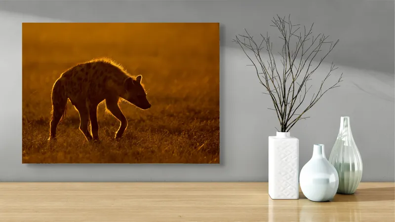 Tablou Canvas, "Hiena în lumina apusului african", Nu pot spune cine sau ce este în imagine., 70 x 50 cm – poza 3
