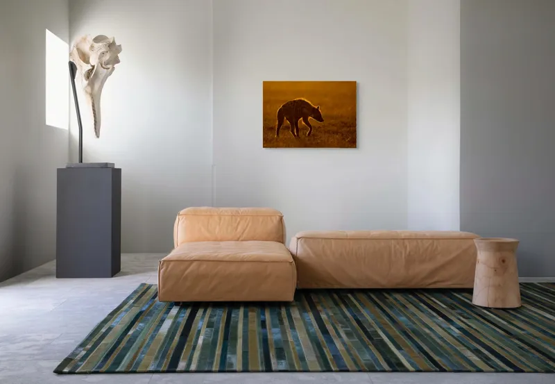 Tablou Canvas, "Hiena în lumina apusului african", Nu pot spune cine sau ce este în imagine., 70 x 50 cm – poza 8