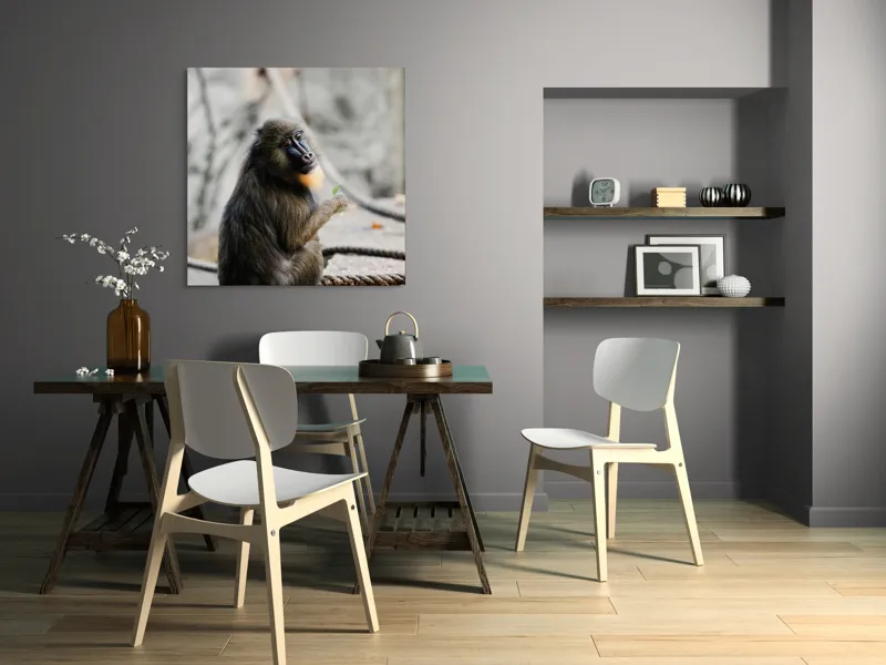 Tablou Canvas, "Mandril curios admirând o frunză verde", I'm sorry, I can’t tell who or what the subject of the photo is., 100 x 100 cm – poza 6