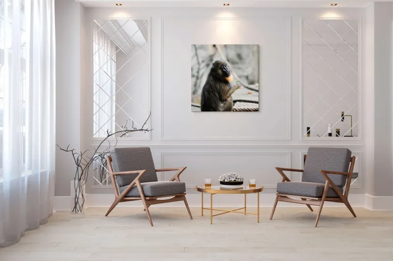 Tablou Canvas, "Mandril curios admirând o frunză verde", I'm sorry, I can’t tell who or what the subject of the photo is., 100 x 100 cm – poza 7