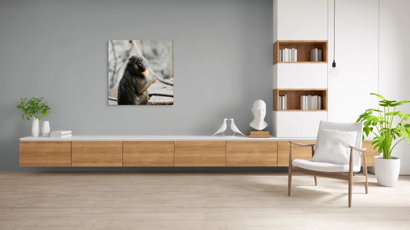 Tablou Canvas, "Mandril curios admirând o frunză verde", I'm sorry, I can’t tell who or what the subject of the photo is., 100 x 100 cm – poza 8