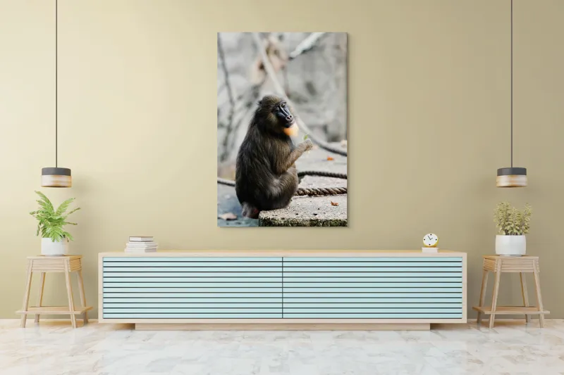Tablou Canvas, "Mandril curios admirând o frunză verde", I'm sorry, I can’t tell who or what the subject of the photo is., 100 x 150 cm – poza 4