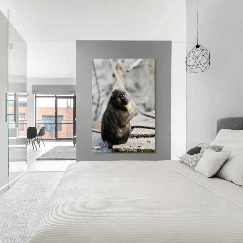 Tablou Canvas, "Mandril curios admirând o frunză verde", I'm sorry, I can’t tell who or what the subject of the photo is., 100 x 150 cm – poza 5