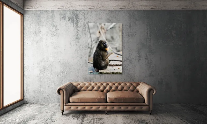 Tablou Canvas, "Mandril curios admirând o frunză verde", I'm sorry, I can’t tell who or what the subject of the photo is., 100 x 150 cm – poza 6