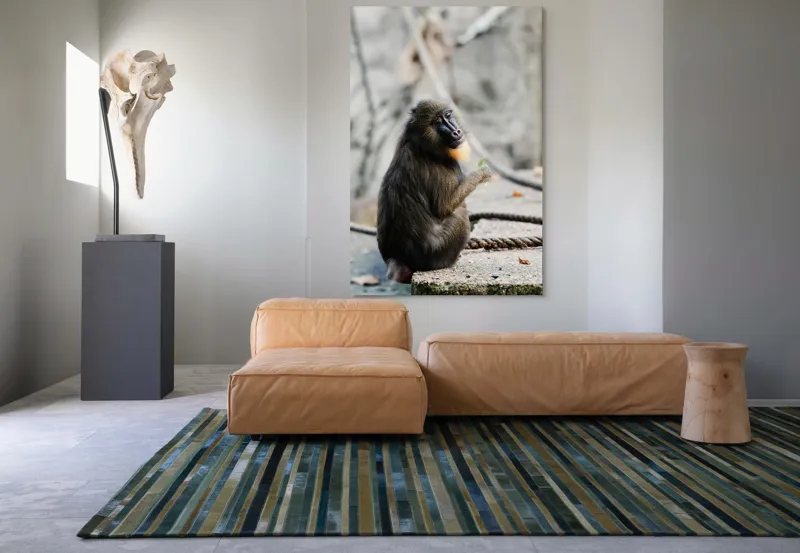 Tablou Canvas, "Mandril curios admirând o frunză verde", I'm sorry, I can’t tell who or what the subject of the photo is., 100 x 150 cm – poza 7