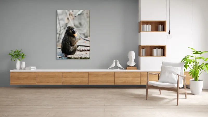 Tablou Canvas, "Mandril curios admirând o frunză verde", I'm sorry, I can’t tell who or what the subject of the photo is., 100 x 150 cm – poza 8