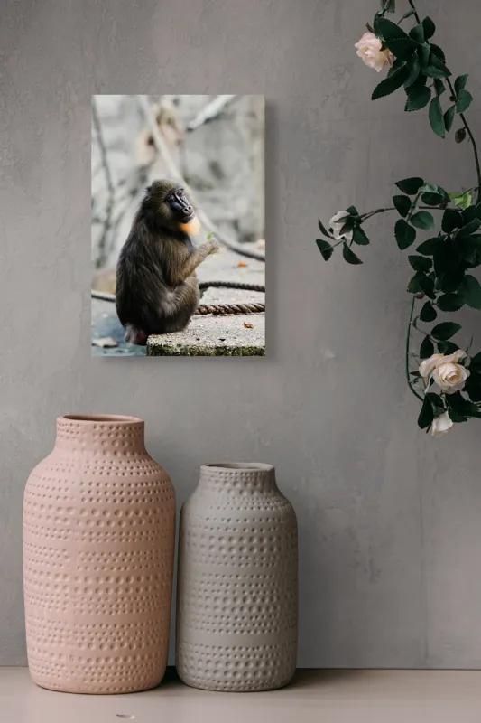 Tablou Canvas, "Mandril curios admirând o frunză verde", I'm sorry, I can’t tell who or what the subject of the photo is., 26 x 39 cm – poza 6
