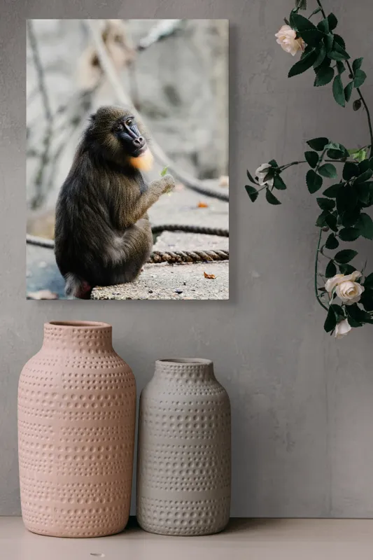 Tablou Canvas, "Mandril curios admirând o frunză verde", 39 x 54 cm – poza 6