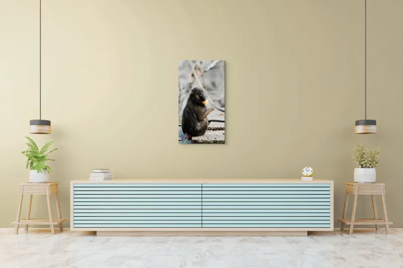 Tablou Canvas, "Mandril curios admirând o frunză verde", I'm sorry, I can’t tell who or what the subject of the photo is., 50 x 90 cm – poza 6