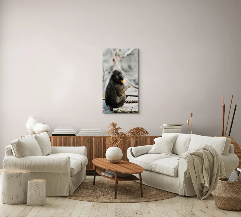 Tablou Canvas, "Mandril curios admirând o frunză verde", I'm sorry, I can’t tell who or what the subject of the photo is., 50 x 90 cm – poza 7