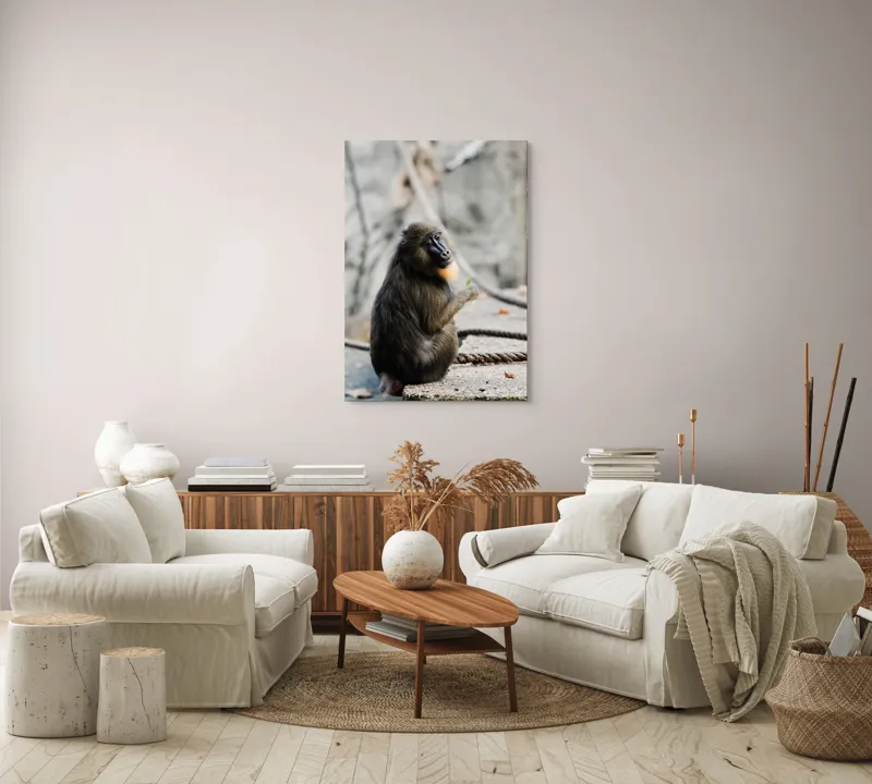 Tablou Canvas, "Mandril curios admirând o frunză verde", 70 x 100 cm – poza 4