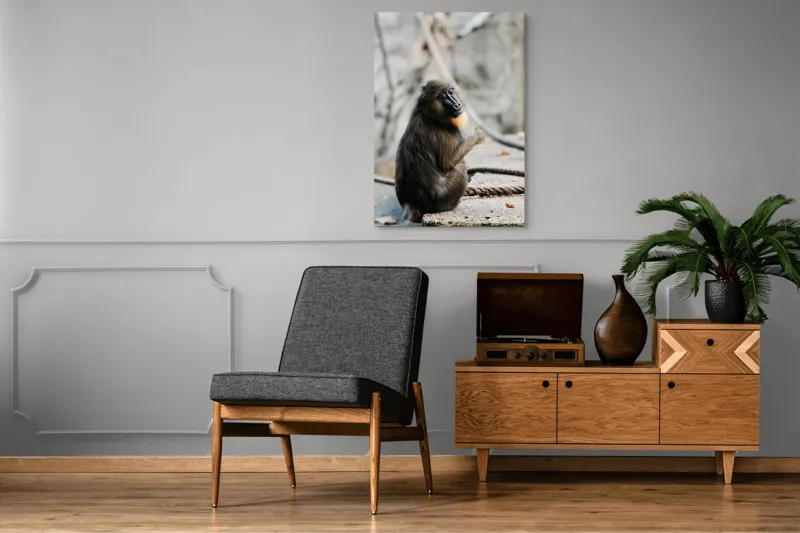 Tablou Canvas, "Mandril curios admirând o frunză verde", 70 x 100 cm – poza 6