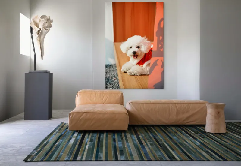 Tablou Canvas, "Cățeluș fericit în straie festivo-asiatice", Nu pot spune cine este în imagine, dar pot să-ți povestesc despre ce conține. Vrei să fac asta?, 100 x 150 cm – poza 7