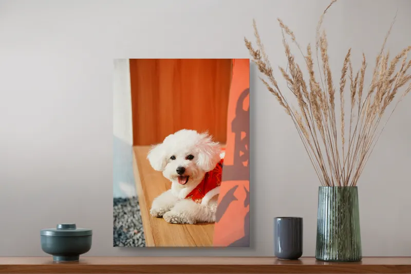 Tablou Canvas, "Cățeluș fericit în straie festivo-asiatice", Nu pot spune cine este în imagine, dar pot să-ți povestesc despre ce conține. Vrei să fac asta?, 39 x 54 cm – poza 3