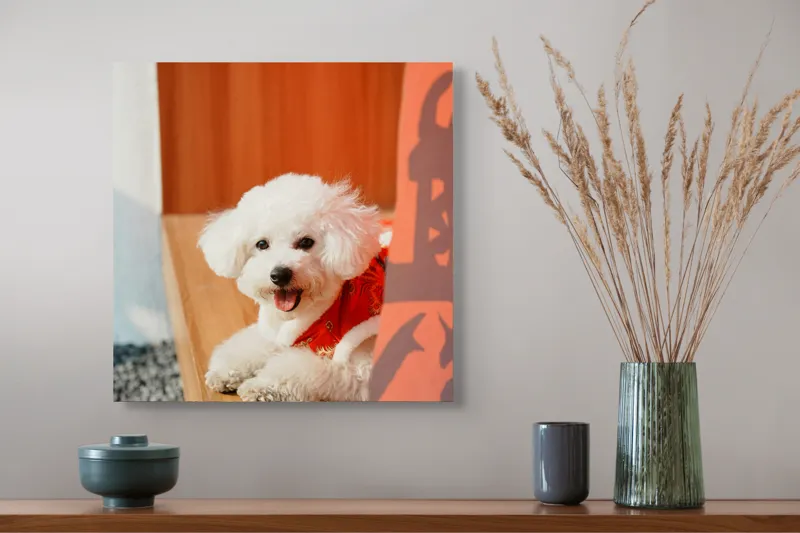 Tablou Canvas, "Cățeluș fericit în straie festivo-asiatice", Nu pot spune cine este în imagine, dar pot să-ți povestesc despre ce conține. Vrei să fac asta?, 50 x 50 cm – poza 4