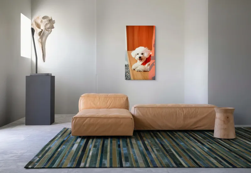 Tablou Canvas, "Cățeluș fericit în straie festivo-asiatice", Nu pot spune cine este în imagine, dar pot să-ți povestesc despre ce conține. Vrei să fac asta?, 50 x 90 cm – poza 5