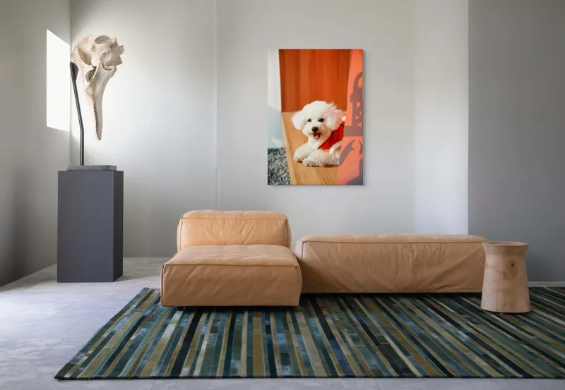 Tablou Canvas, "Cățeluș fericit în straie festivo-asiatice", Nu pot spune cine este în imagine, dar pot să-ți povestesc despre ce conține. Vrei să fac asta?, 70 x 100 cm – poza 7