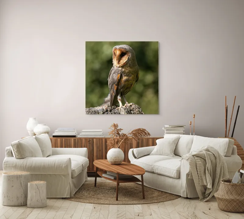 Tablou Canvas, "Bufniță pe trunchi de copac uscat", Bufniță, Trunchi, Pene, Noapte, Natură, Ochi, Urechiușe, Silueta, Observare, Calmă, 100 x 100 cm – poza 3