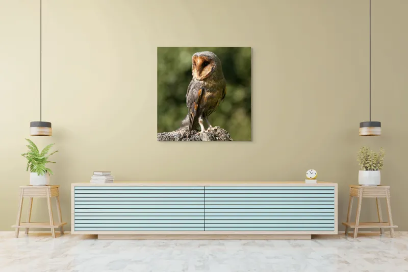 Tablou Canvas, "Bufniță pe trunchi de copac uscat", Bufniță, Trunchi, Pene, Noapte, Natură, Ochi, Urechiușe, Silueta, Observare, Calmă, 100 x 100 cm – poza 5