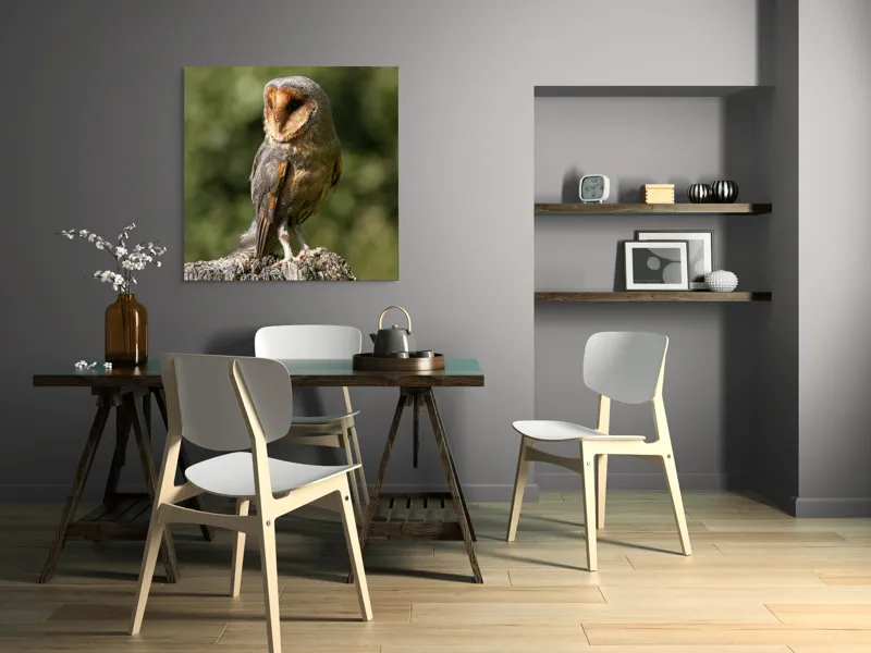 Tablou Canvas, "Bufniță pe trunchi de copac uscat", Bufniță, Trunchi, Pene, Noapte, Natură, Ochi, Urechiușe, Silueta, Observare, Calmă, 100 x 100 cm – poza 6