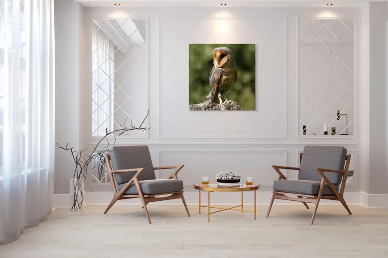 Tablou Canvas, "Bufniță pe trunchi de copac uscat", Bufniță, Trunchi, Pene, Noapte, Natură, Ochi, Urechiușe, Silueta, Observare, Calmă, 100 x 100 cm – poza 7