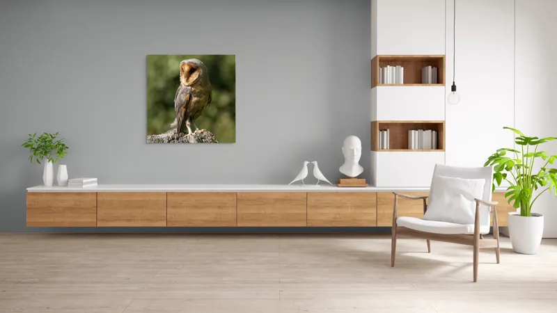 Tablou Canvas, "Bufniță pe trunchi de copac uscat", Bufniță, Trunchi, Pene, Noapte, Natură, Ochi, Urechiușe, Silueta, Observare, Calmă, 100 x 100 cm – poza 8